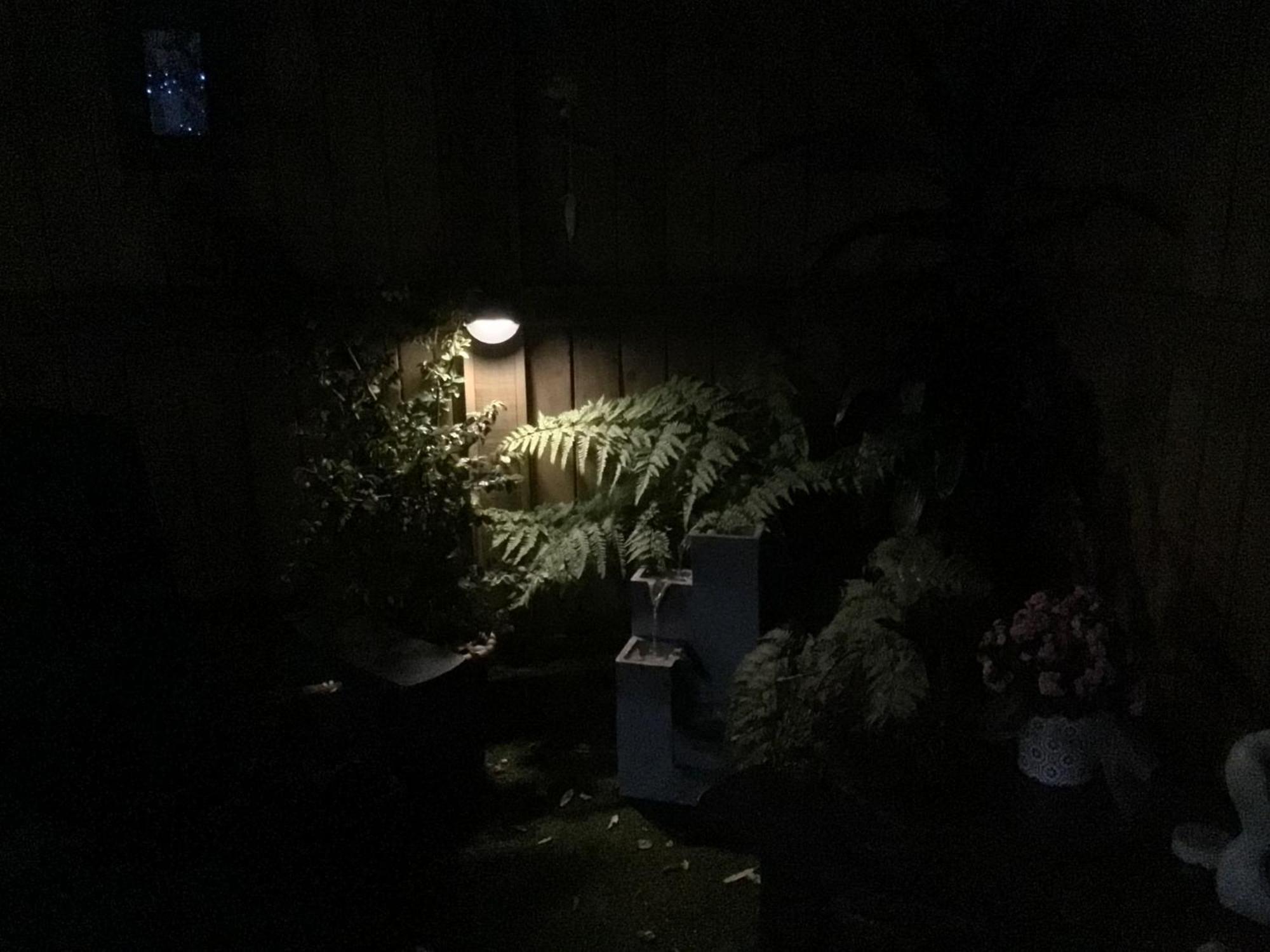 Tranquil Garden Studio Tauranga Buitenkant foto
